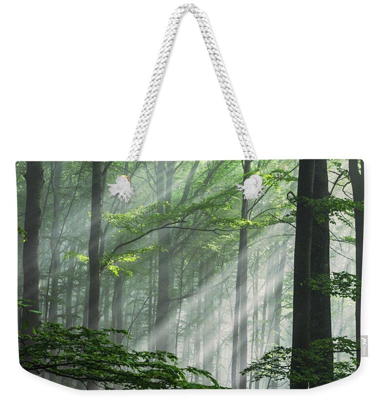 Fog Weekender Tote Bag featuring the photograph Fleeting Beams by Evgeni Dinev