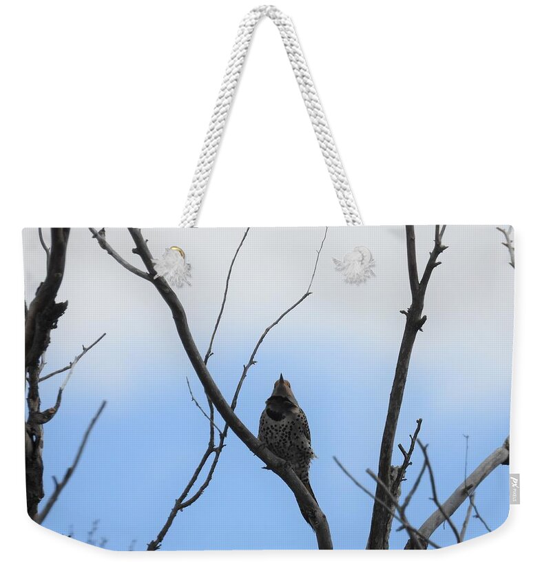 Northern Flicker Weekender Tote Bag featuring the photograph Flicker by Amanda R Wright