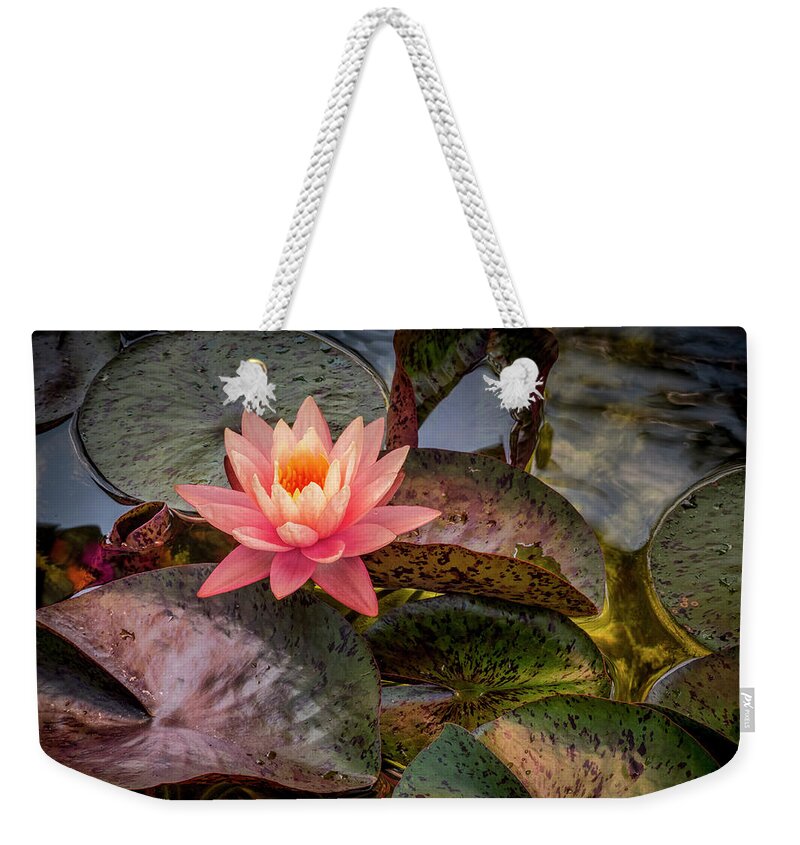 Floral Weekender Tote Bag featuring the photograph Floating Above. by Usha Peddamatham
