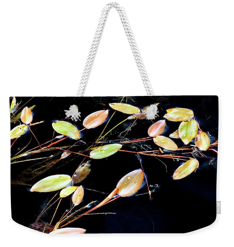 Nature Weekender Tote Bag featuring the photograph Floating Branches and Leaves 2 by Jerry Sodorff