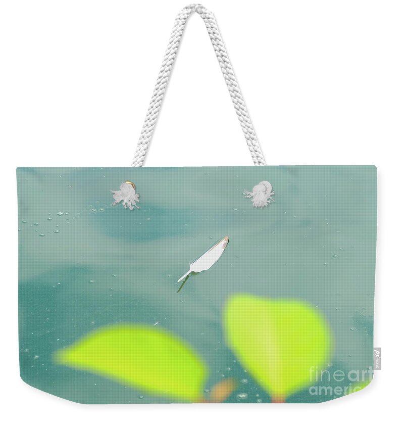 Feather Weekender Tote Bag featuring the photograph Floating feather by Bentley Davis