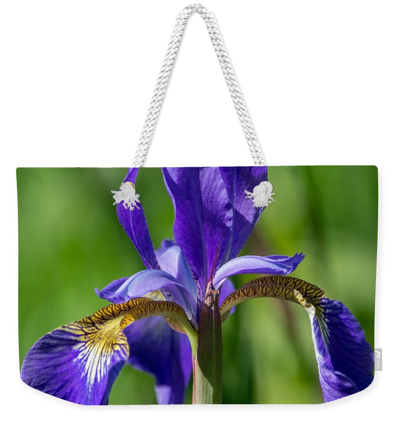 Flower Weekender Tote Bag featuring the photograph Floating Flower by Linda Bonaccorsi