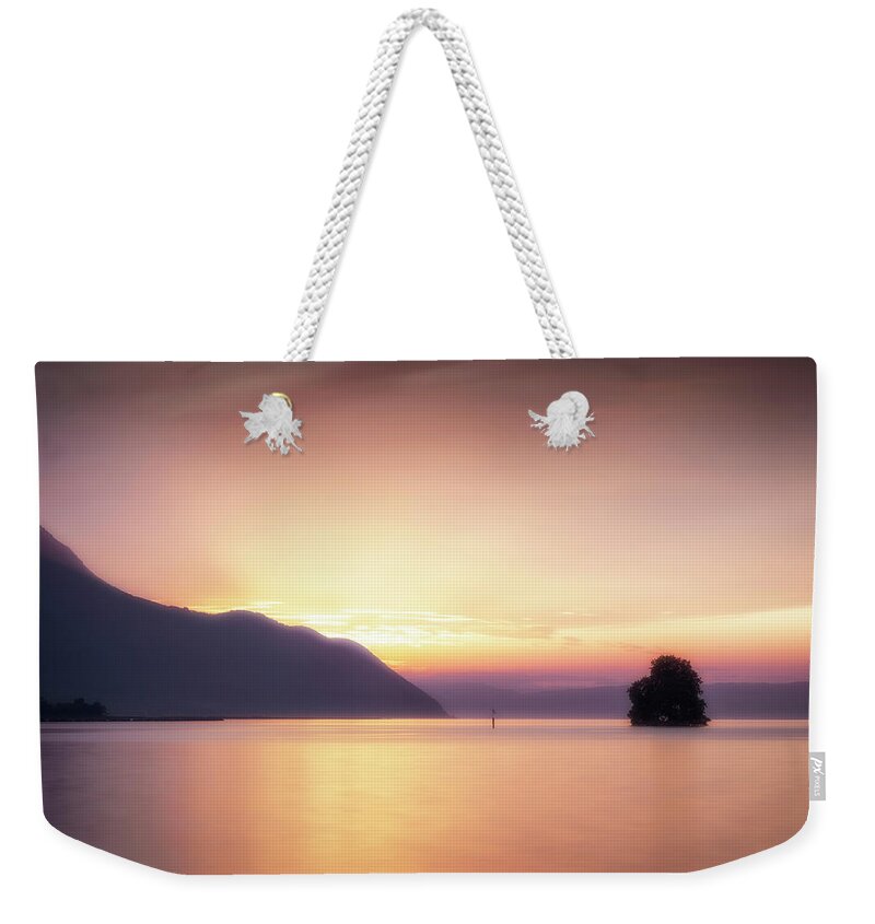 Castle Weekender Tote Bag featuring the photograph Flooded tree by Dominique Dubied
