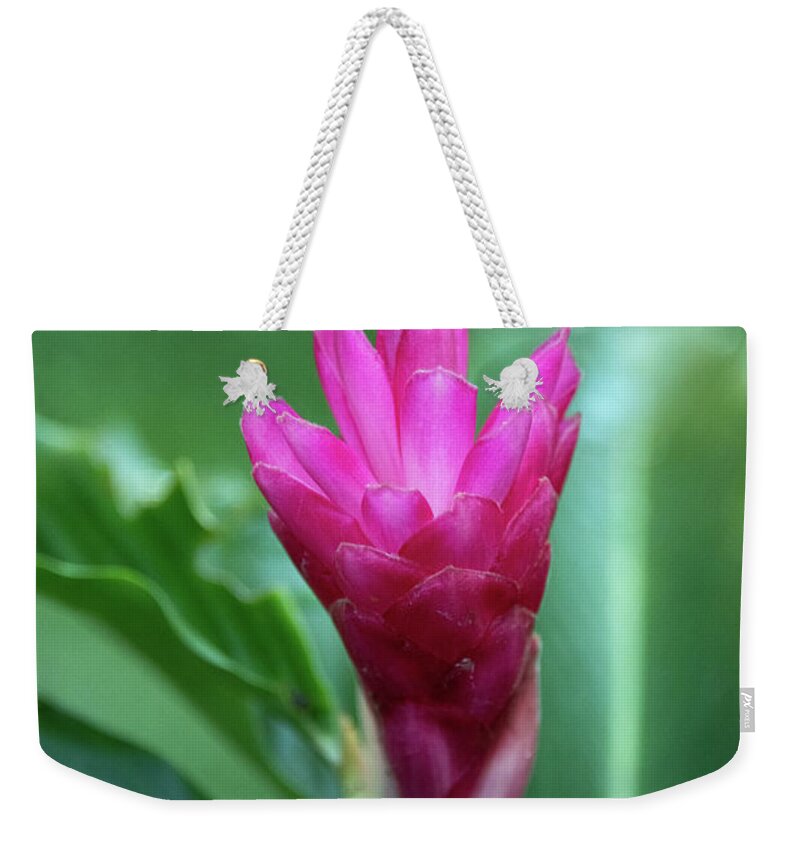  Weekender Tote Bag featuring the photograph Flora of Costa Rica by Marcy Wielfaert