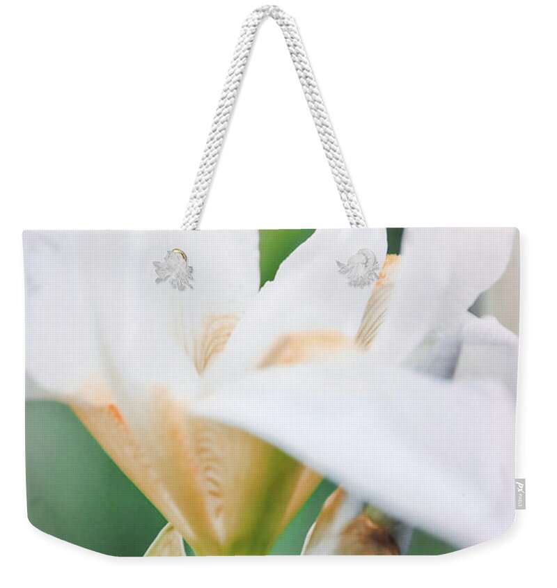 Iris Weekender Tote Bag featuring the photograph Floral 47 by Andrea Anderegg