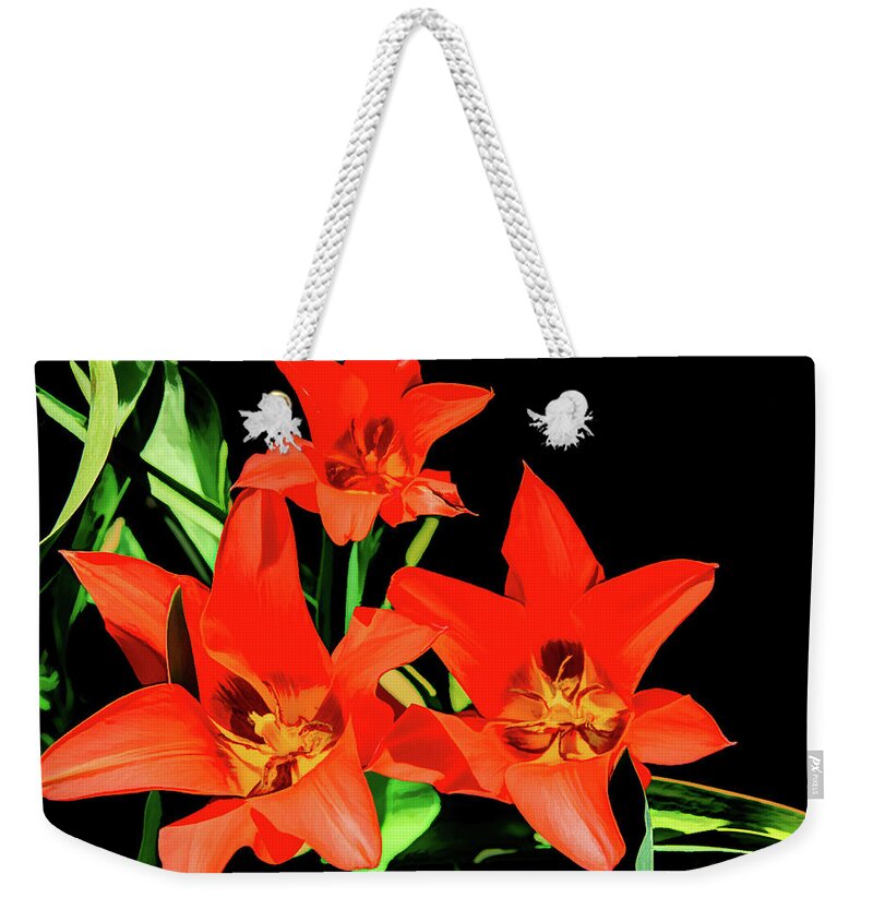 Day Lilies Weekender Tote Bag featuring the photograph Floral Fantasy in Red by Marcy Wielfaert
