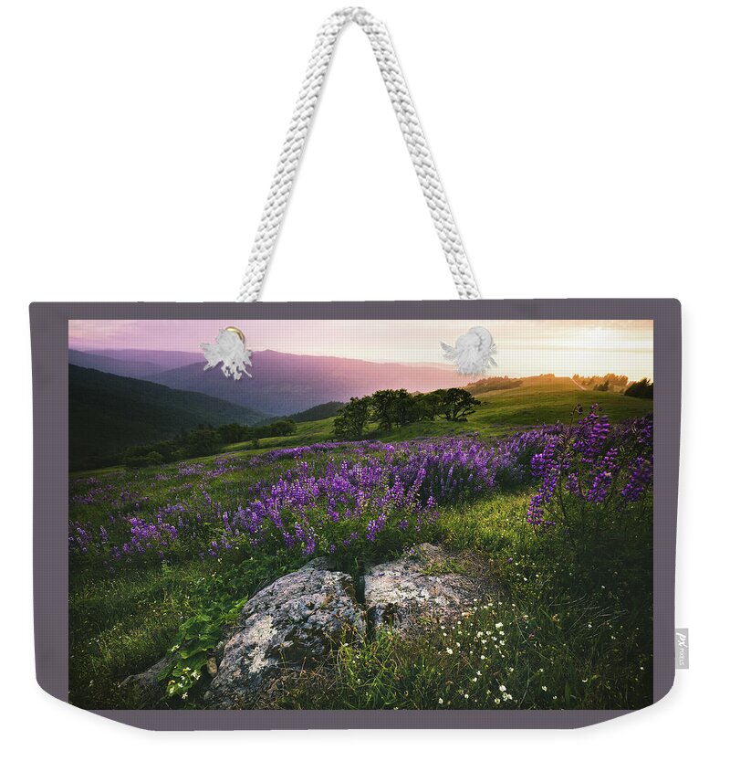 Flower Weekender Tote Bag featuring the photograph Floral Sunset by Jason Roberts