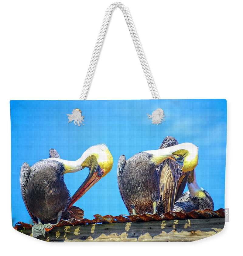Pelicans Weekender Tote Bag featuring the photograph Florida pelicans by Alison Belsan Horton