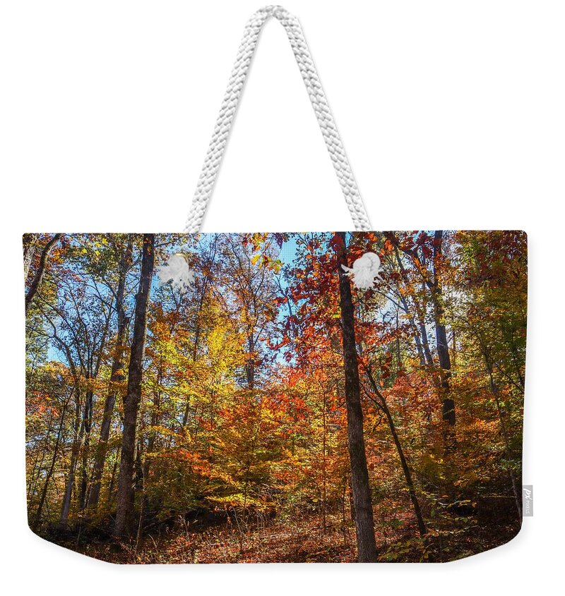 Flovilla Weekender Tote Bag featuring the photograph Flovilla Hillside Tree Colorations by Ed Williams