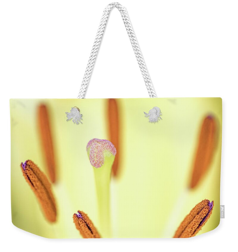 Flower Weekender Tote Bag featuring the photograph Flower Close Up by Amelia Pearn
