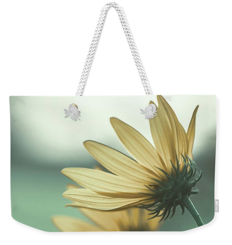 Nature Weekender Tote Bag featuring the photograph Flower Dreams by Go and Flow Photos