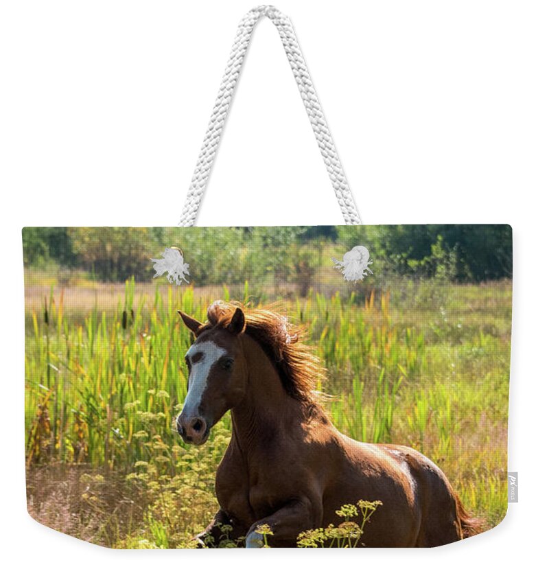 Equine Weekender Tote Bag featuring the photograph Flower Folly by Pamela Steege