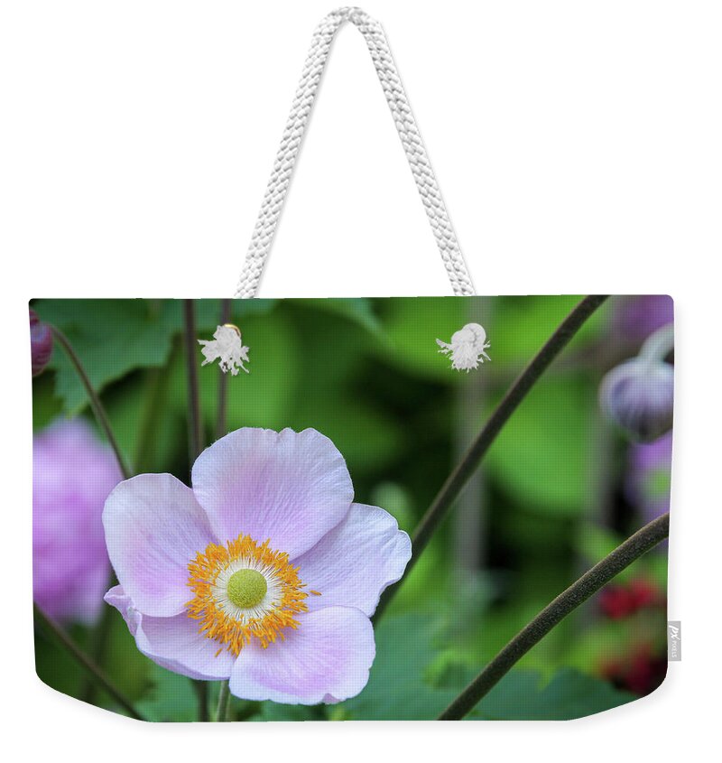 Flower Weekender Tote Bag featuring the photograph Flower Hanging Over the Sidewalk by Robert Carter
