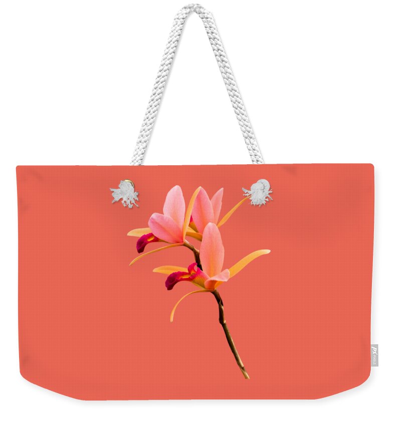 Orchid Weekender Tote Bag featuring the photograph Flower - Orchid - The Exquisite Beauty of Laelia Orchids by Mike Savad