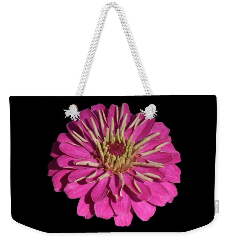 Zinnia Weekender Tote Bag featuring the photograph Flower Power - Bright Pink Zinnia with Black Backgound by Carol Groenen
