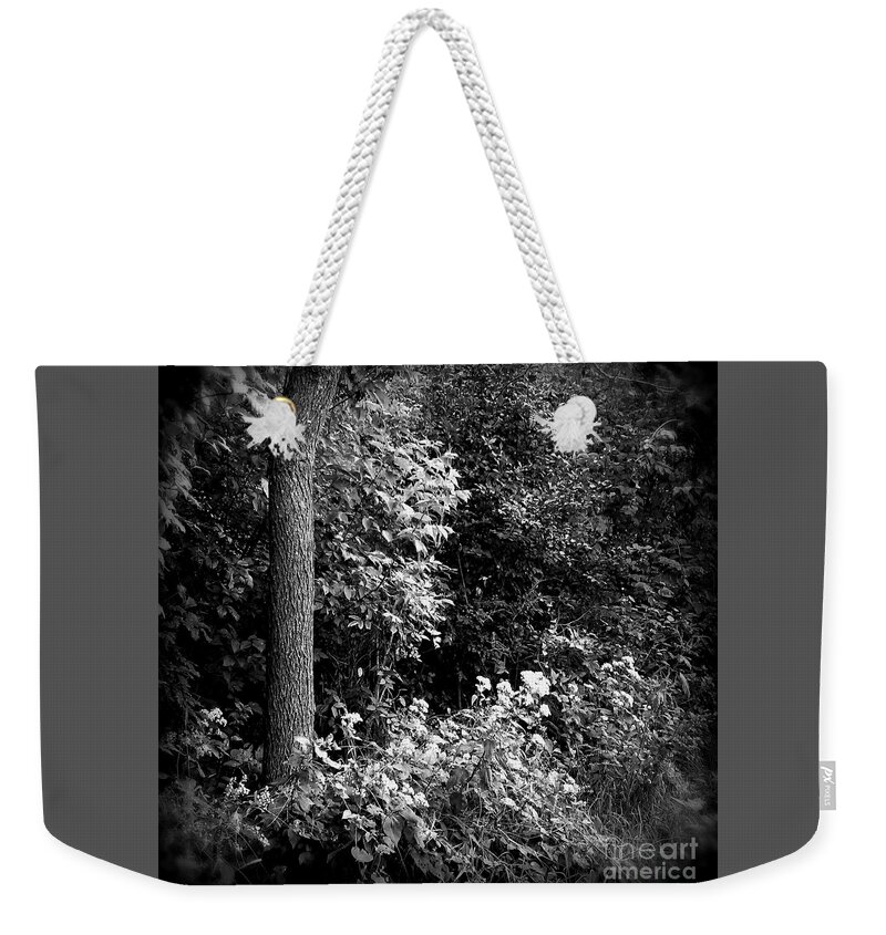 Nature Weekender Tote Bag featuring the photograph Flowers Along The Trail - Holga Effect by Frank J Casella