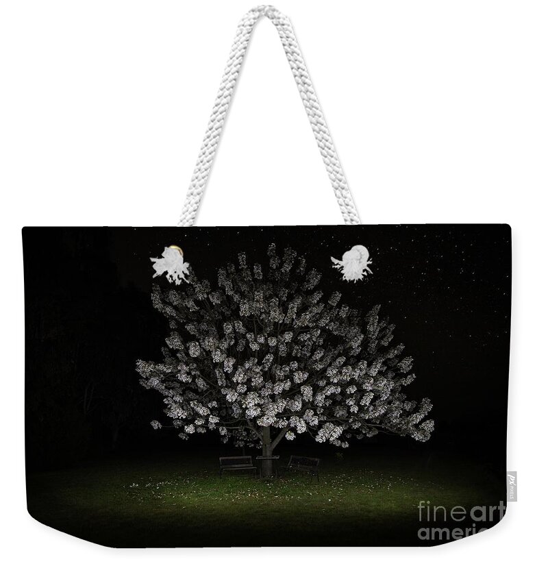 Flowers Weekender Tote Bag featuring the photograph Flowers by Starlight by Linda Lees