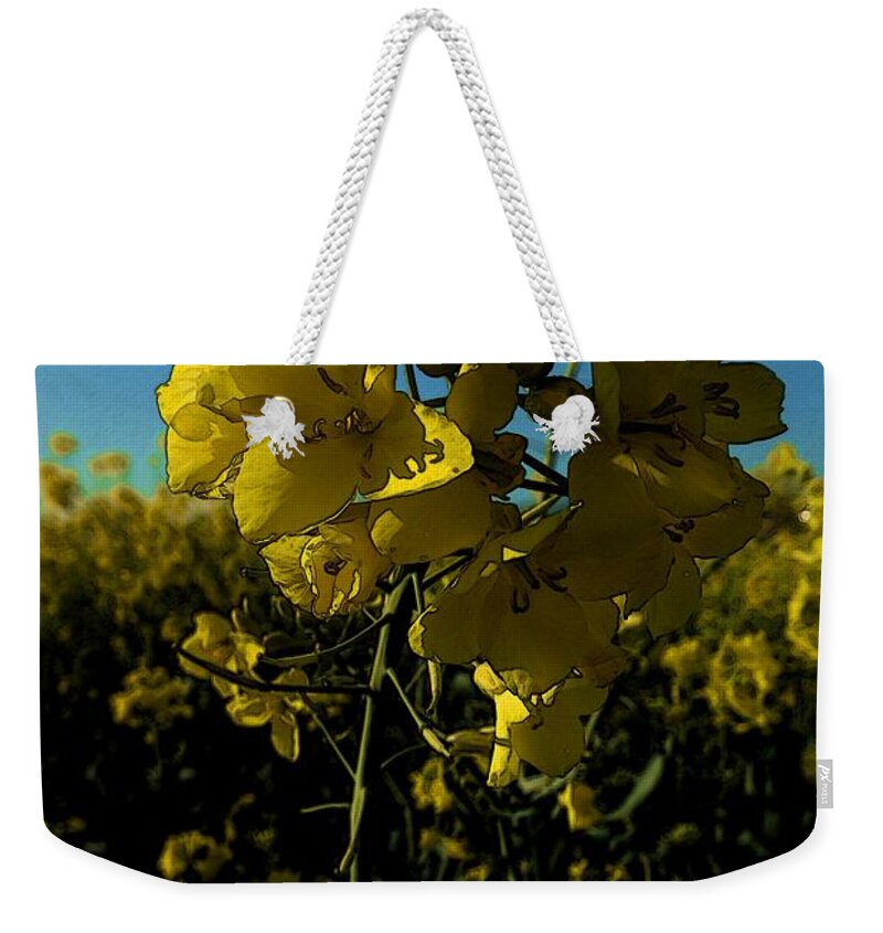 Art Weekender Tote Bag featuring the photograph Flowers of colza 3 by Jean Bernard Roussilhe