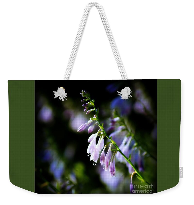 Flowers Weekender Tote Bag featuring the photograph Flowers Purple and Sunlight - square by Frank J Casella