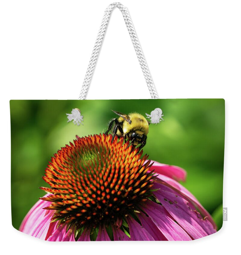 Bee Weekender Tote Bag featuring the photograph Fluffy Bumblebee on a Purple Coneflower 4 by Dimitry Papkov