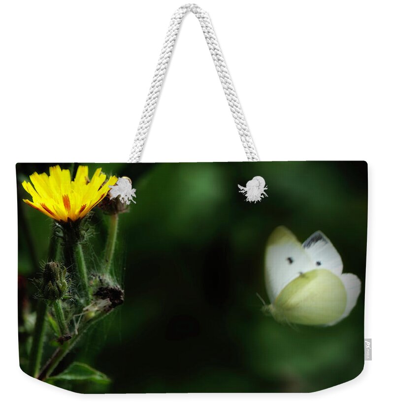 Butterfly Weekender Tote Bag featuring the photograph Fluttering By by Jack Torcello