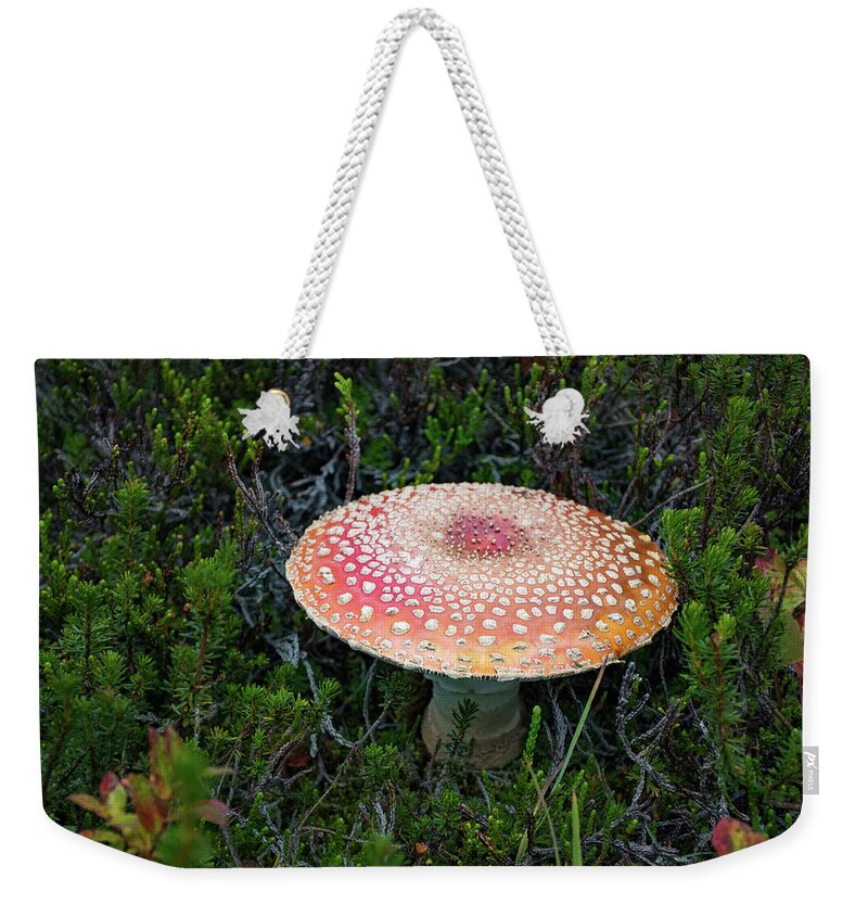 Mushroom Weekender Tote Bag featuring the photograph Fly Agaric by Joan Septembre