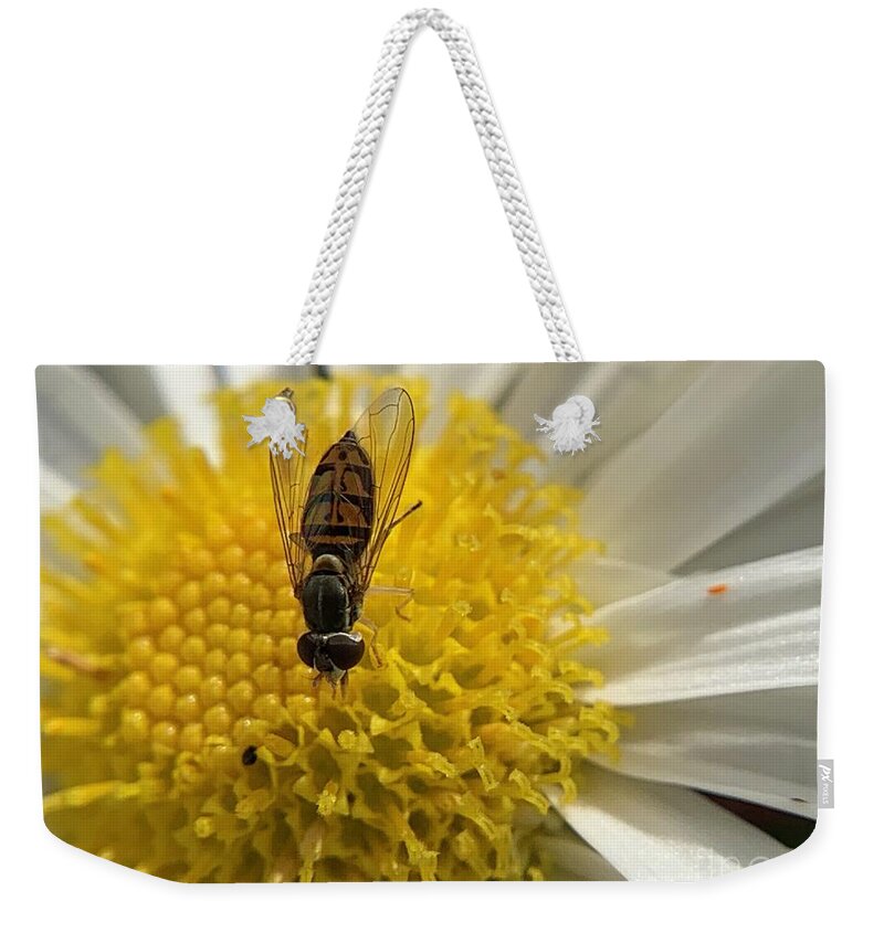 Insect Weekender Tote Bag featuring the photograph Fly and Flowers by Catherine Wilson