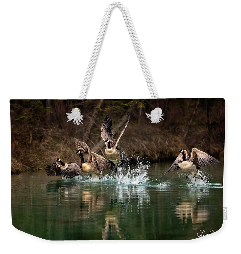 Canada Weekender Tote Bag featuring the photograph Fly Away Home by Gary Johnson