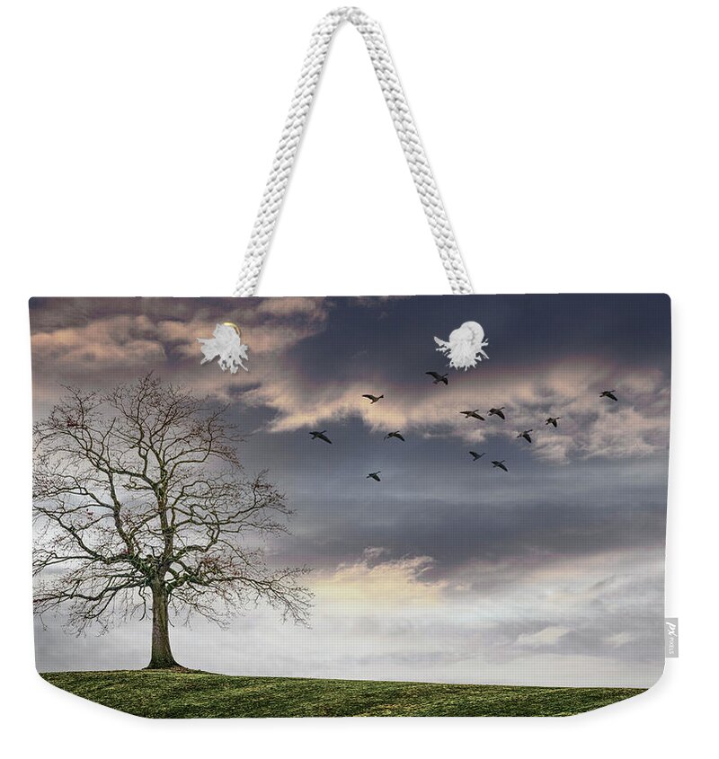 Birds Weekender Tote Bag featuring the photograph Fly Away in the Pale Light by Debra and Dave Vanderlaan