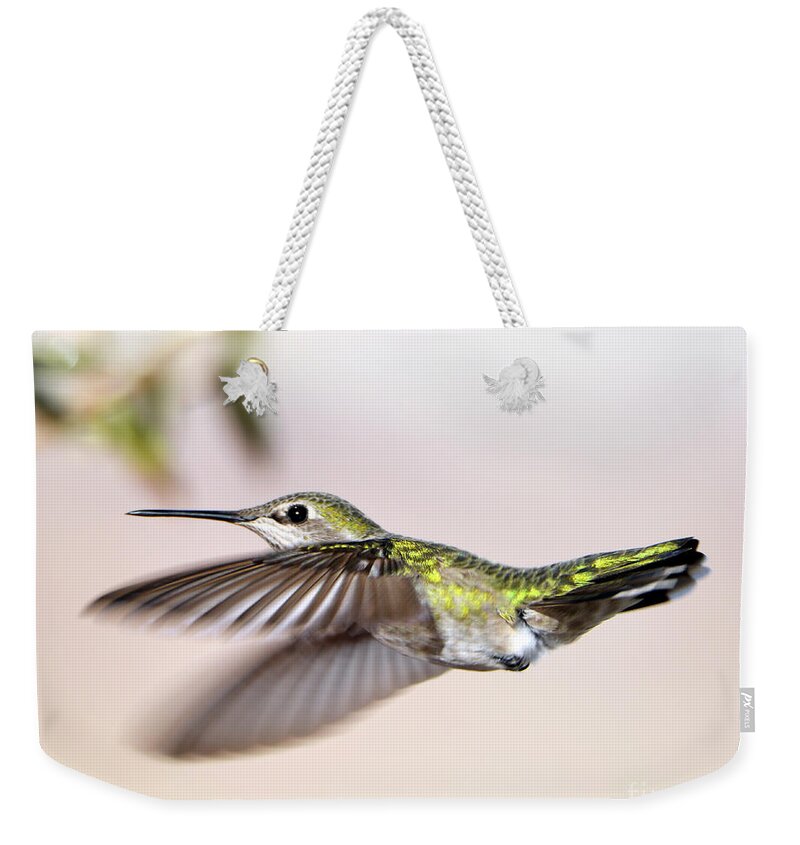 Denise Bruchman Photography Weekender Tote Bag featuring the photograph Flying Anna's Hummingbird by Denise Bruchman