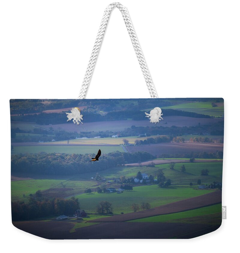 Bird Weekender Tote Bag featuring the photograph Flying High Over Pennsylvania Farmland by Jason Fink