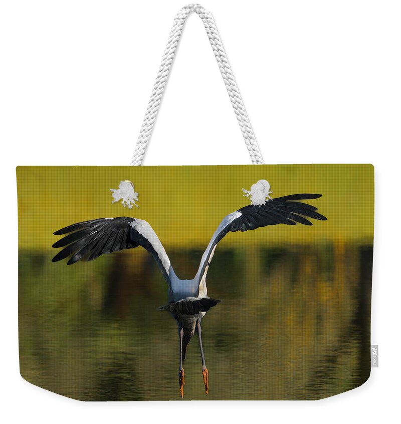 Birds Weekender Tote Bag featuring the photograph Flying Wood Stork by Larry Marshall