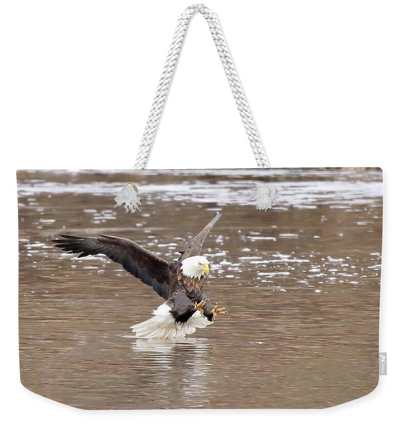 Bird Weekender Tote Bag featuring the photograph Focus by Lens Art Photography By Larry Trager