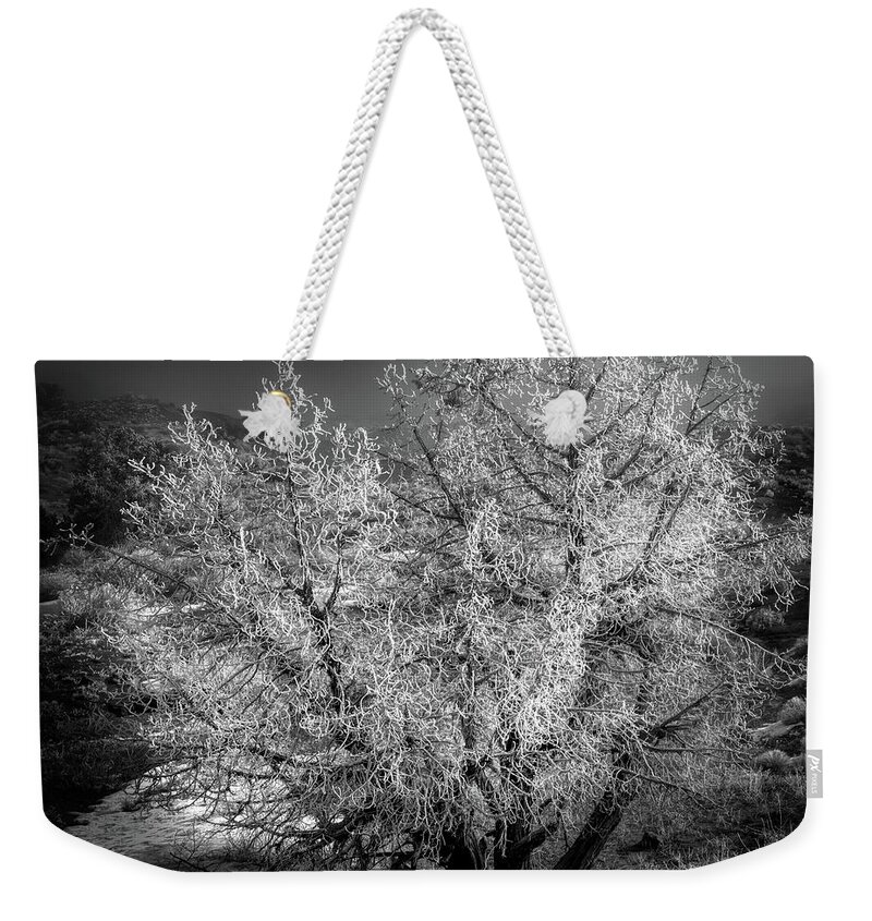 Hoar Frost Weekender Tote Bag featuring the photograph Foggy Frost by Doug Sturgess