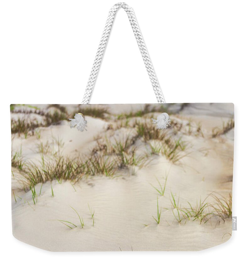North Carolina Weekender Tote Bag featuring the photograph Foggy Morning Foggy Dunes by Dan Carmichael