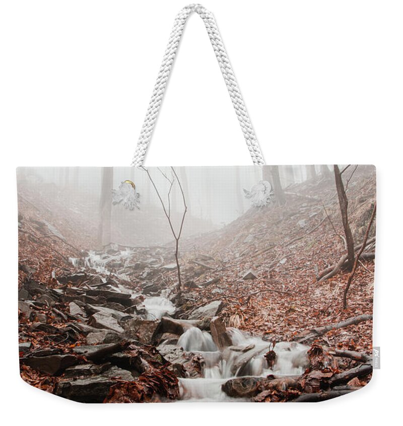 Foggy Weekender Tote Bag featuring the photograph Foggy morning in a deciduous forest by Vaclav Sonnek