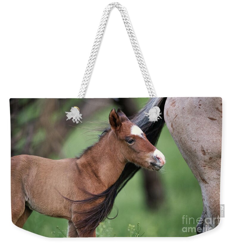 Mom & Baby Weekender Tote Bag featuring the photograph Following Mom by Shannon Hastings