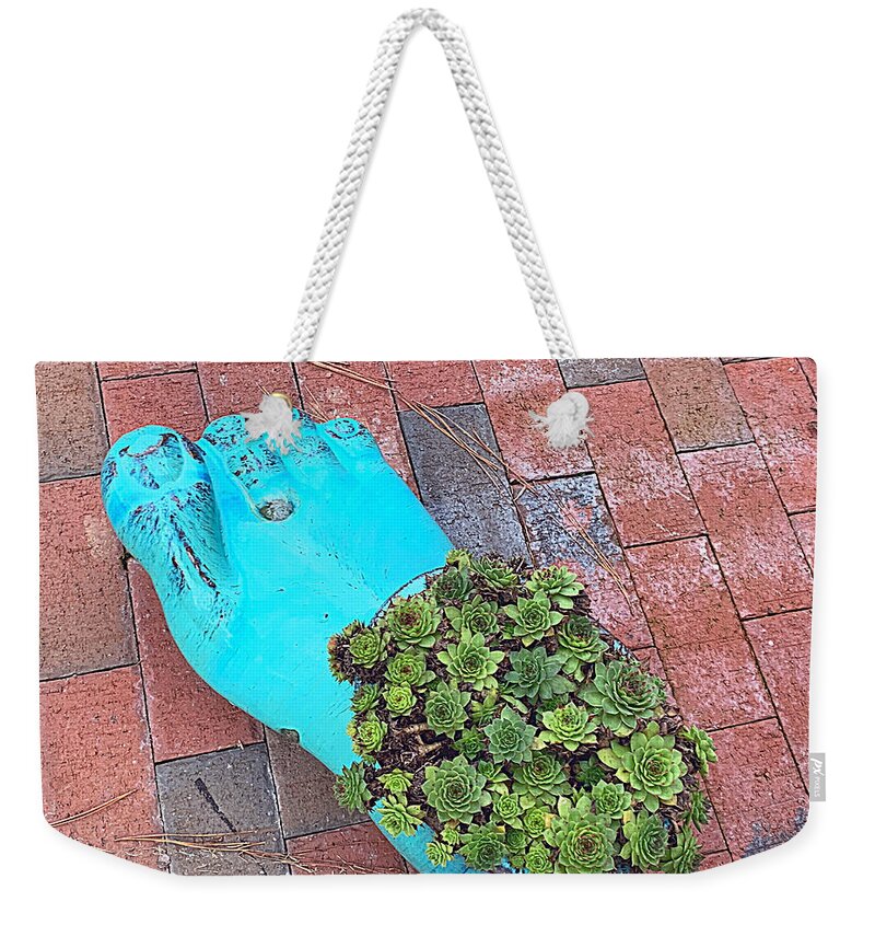 Cactus Weekender Tote Bag featuring the photograph Footlong Cactus by Lee Darnell
