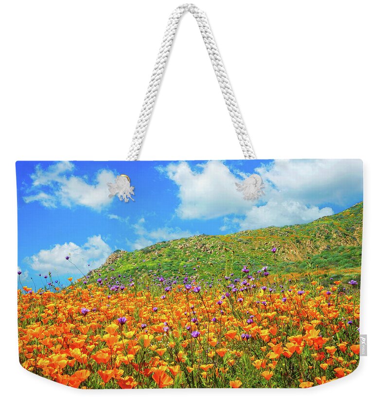 Walker Canyon Weekender Tote Bag featuring the photograph For the Love of Poppies by Lynn Bauer