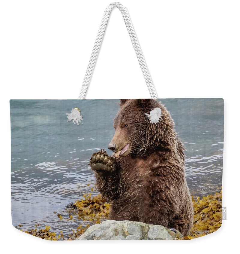 Brown Bear Weekender Tote Bag featuring the photograph Foraging Brown Bear by Jurgen Lorenzen