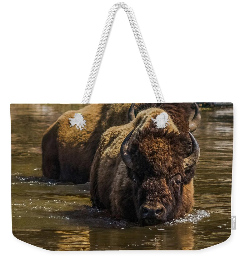 Bison Weekender Tote Bag featuring the photograph Fording The Madison River by Yeates Photography
