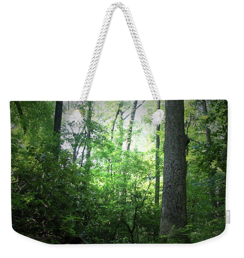 Green Weekender Tote Bag featuring the photograph Forest 6983 by Carolyn Stagger Cokley