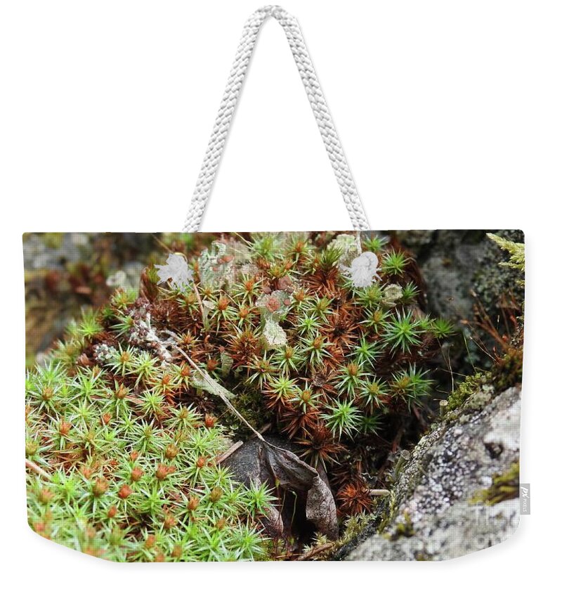 Lichen Weekender Tote Bag featuring the photograph Forest beauty by Nicola Finch