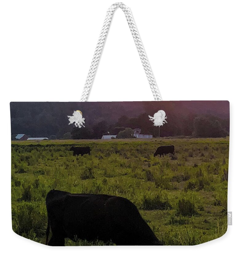 Forest Weekender Tote Bag featuring the photograph Forest Fire Haze by Grey Coopre