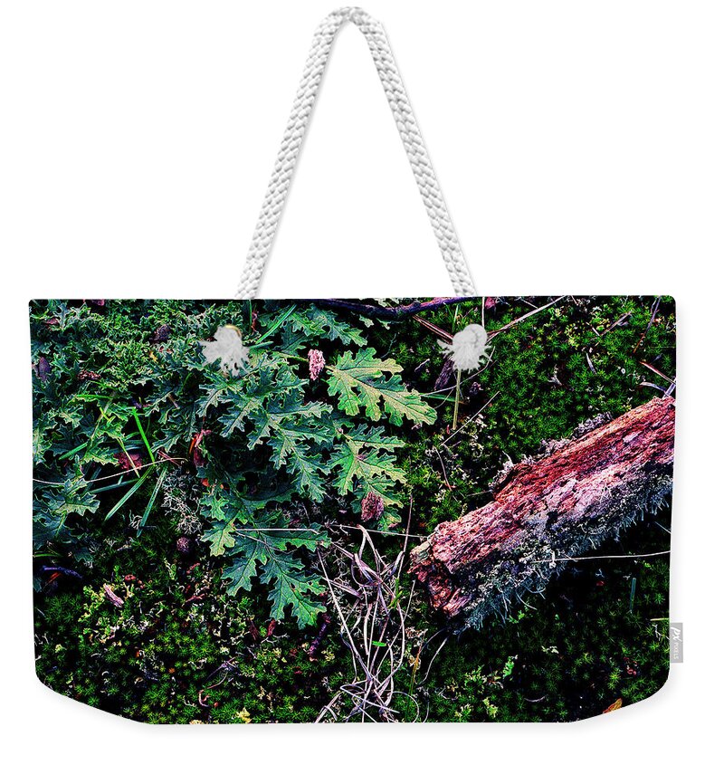 Film Weekender Tote Bag featuring the photograph Forest Floor - 4 by Rudy Umans