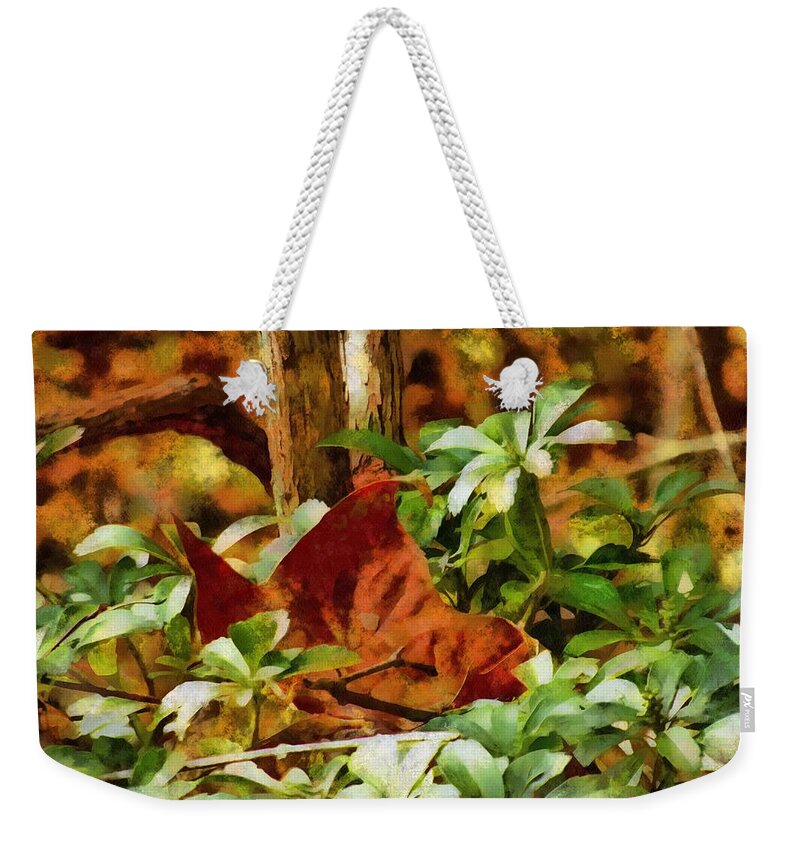 Forest Weekender Tote Bag featuring the mixed media Forest Floor by Christopher Reed