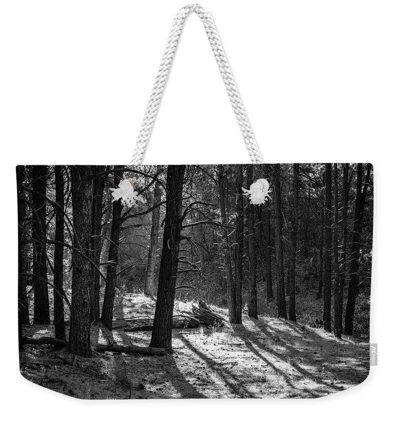 Trees Weekender Tote Bag featuring the photograph Forest Floor Jemez New Mexico by Mary Lee Dereske