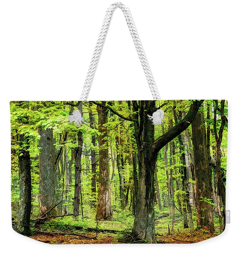 Mountains Weekender Tote Bag featuring the photograph Forest Floor Spring Trees fx 503 by Dan Carmichael