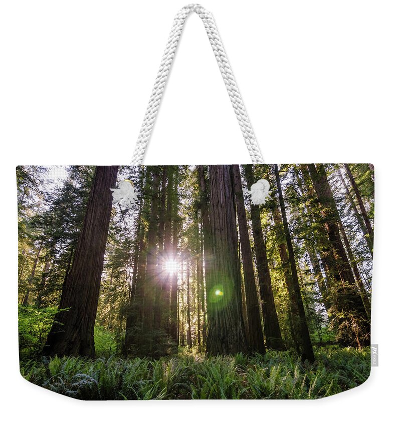 Forest Weekender Tote Bag featuring the photograph Forest Sunset by Margaret Pitcher