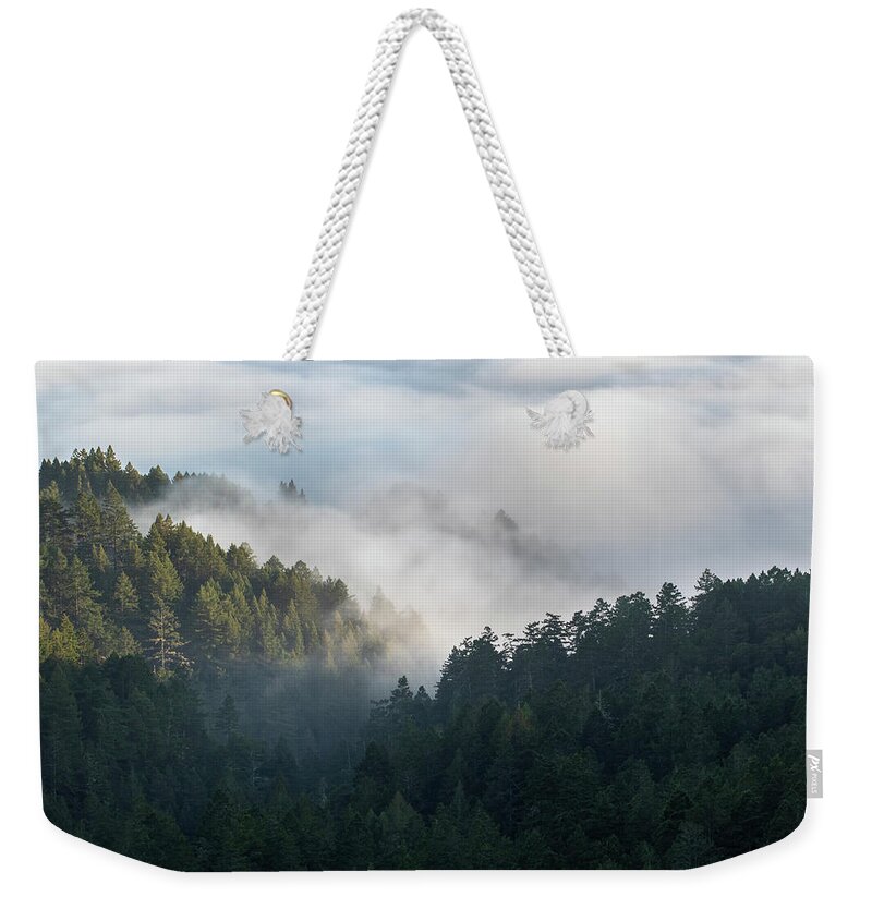 California Weekender Tote Bag featuring the photograph Forest Surrounded by Fog by Gary Geddes